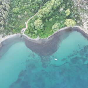 Tekirdağ Dut Limanı Koyu