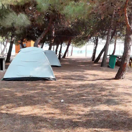 Şarköy Mürefte Kamping (2)